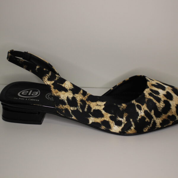 154 Leopardo