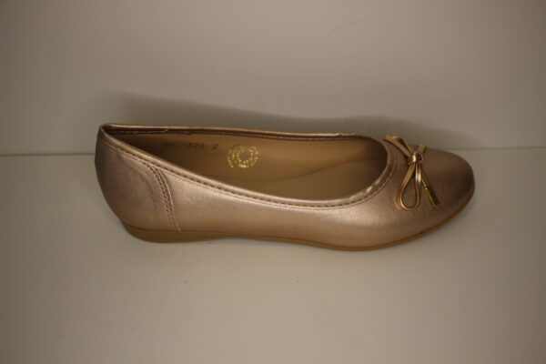 2202 KENIA CIRCON