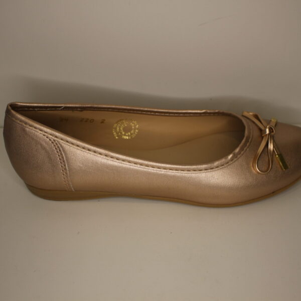 2202 Kenia Circon
